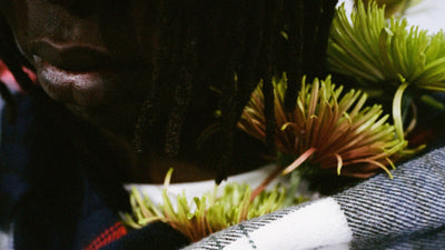 January Tamarind. Queen Scarves.