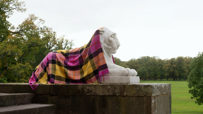 Queen Is Back at Queen’s Garden