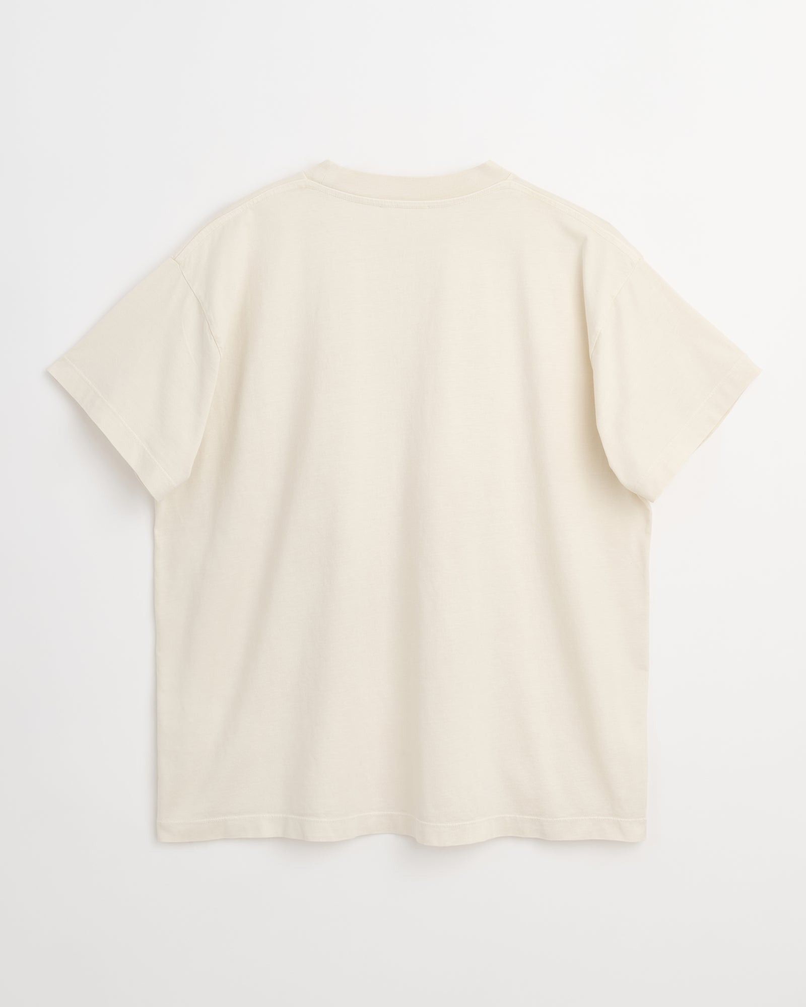 Body t-shirt | Washed birch jersey